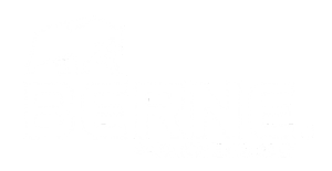 Berne Berne workwear logo