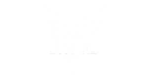 Drifire Drifire logo