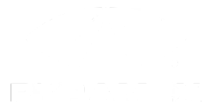 Pyramex Pyramex logo